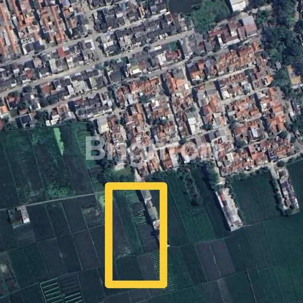 image TANAH SAWAH  SUBUR PRODUKTIF DAN PANEN DI CILEUNYI (1)