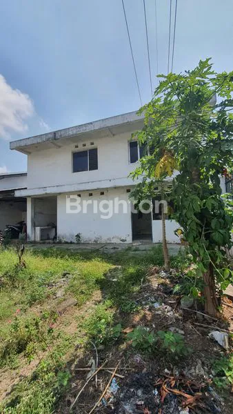 image GUDANG PAKIS (6)