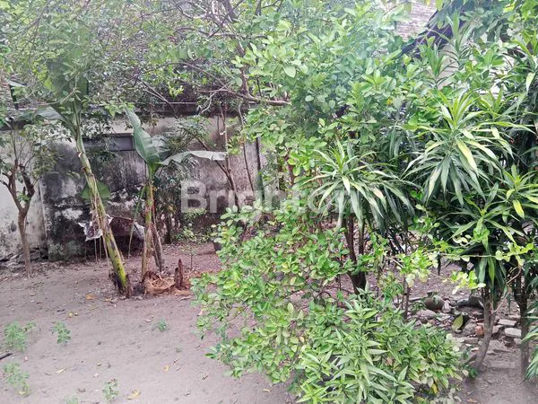 image HITUNG TANAH DALAM KOTA YOGYA (6)