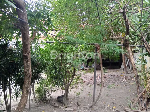 image HITUNG TANAH DALAM KOTA YOGYA (4)