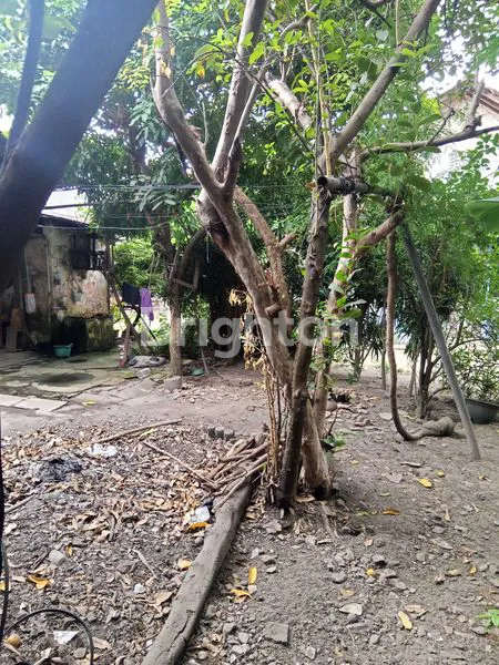 image HITUNG TANAH DALAM KOTA YOGYA (2)