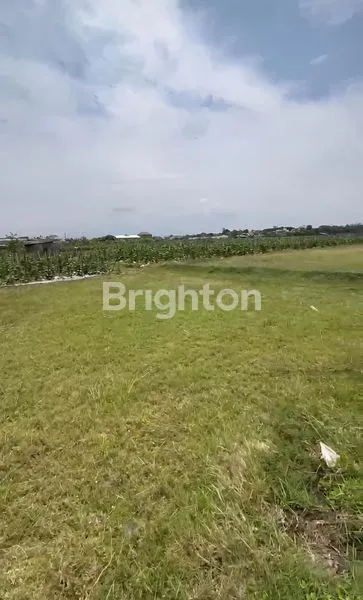 image TANAH LOKASI PRIME KOTA PONOROGO (3)