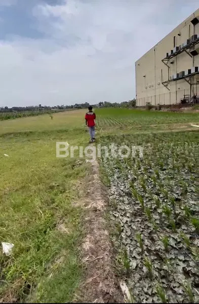 image TANAH LOKASI PRIME KOTA PONOROGO (4)