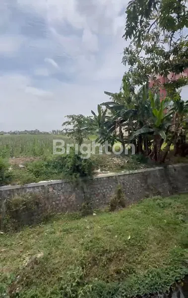 image TANAH LOKASI PRIME KOTA PONOROGO (2)