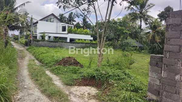 FOR SALE – PRIME LAND IN UBUD,