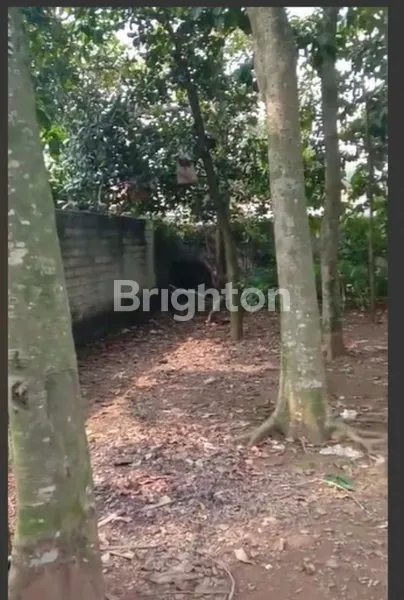 image TANAH TERJANGKAU DI GUNUNG SARI, CITEUREUP – INVESTASI MENARIK (2)