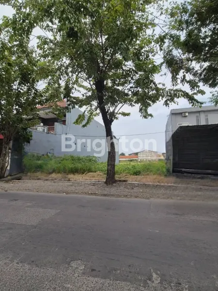 image TANAH DI RAYA MADE SURABAYA (1)