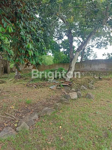 image TANAH CARUBAN MADIUN (2)