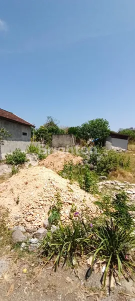 image TANAH DI KUTUH (3)