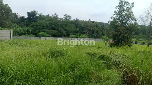 image DIJUAL TANAH SHM 1,6 HA – TABAN, JAMBE, KAB. TANGERANG (2)