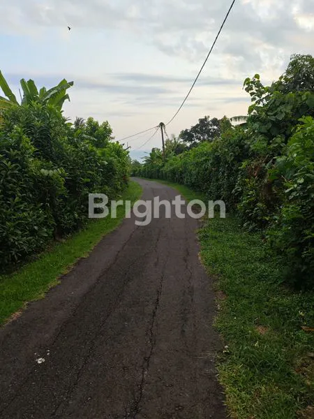 image TANAH PREMIUM 10,75 ARE - HANYA 300 METER DARI PANTAI BALIAN  (3)