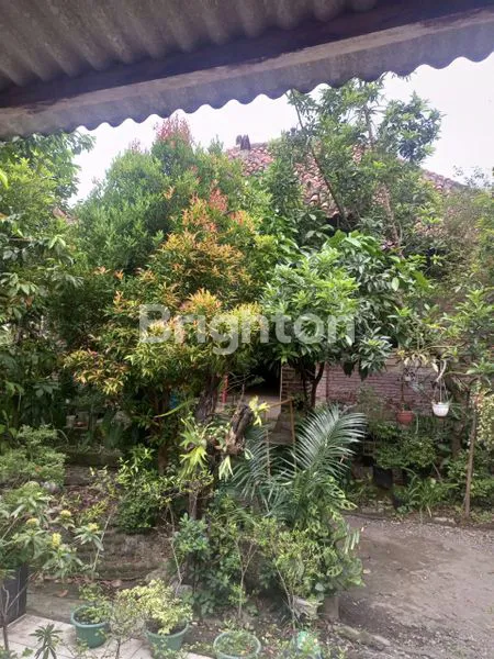 image RUMAH DIJUAL JALAN POLAMAN RAYA (4)