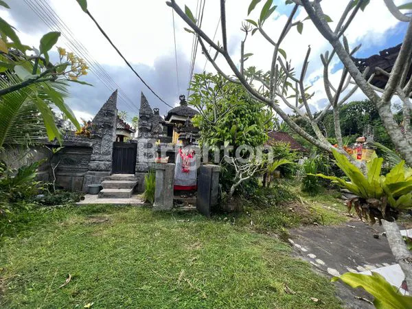 image DIJUAL TANAH DI DESA PANGKUNG KARUNG, TABANAN (1)