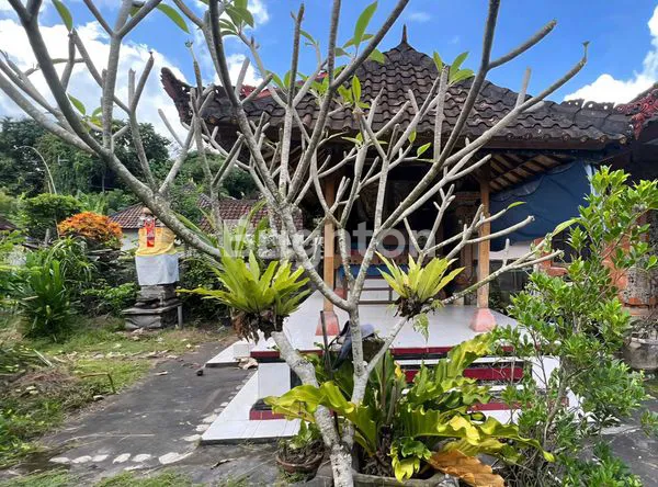 image DIJUAL TANAH DI DESA PANGKUNG KARUNG, TABANAN (2)