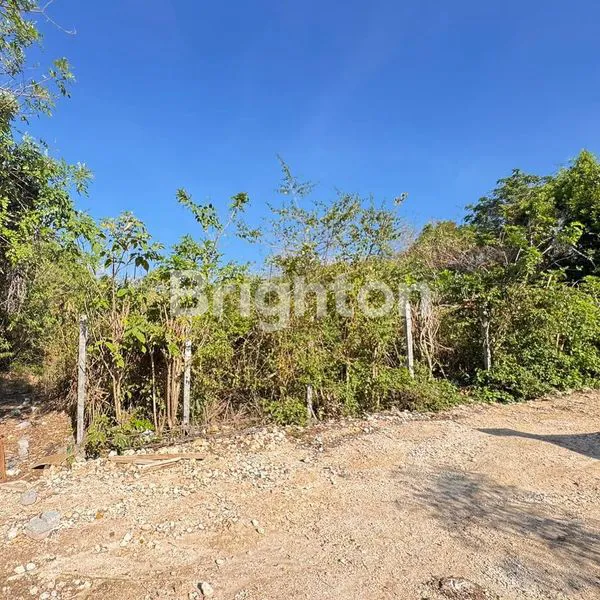 image LAHAN MURAH DI KAWASAN VILLA SAWANGAN, NUSA DUA - BALI (1)