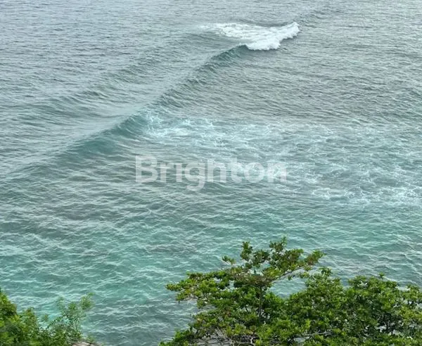 image TANAH SUPER LANGKA & CLIFF FRONT DI TEBING PANTAI PADANG PADANG, BALI (6)