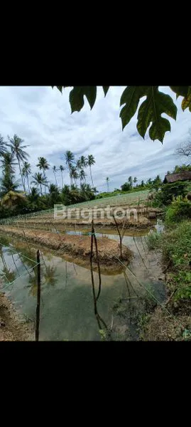 image TANAH DI JALAN TANI SINGKAWANG  (1)
