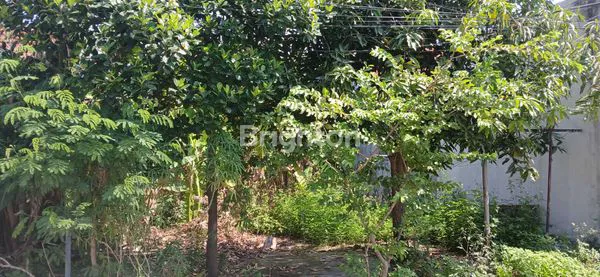 image DIJUAL TANAH SIAP BANGUN HARGA NEGO (1)