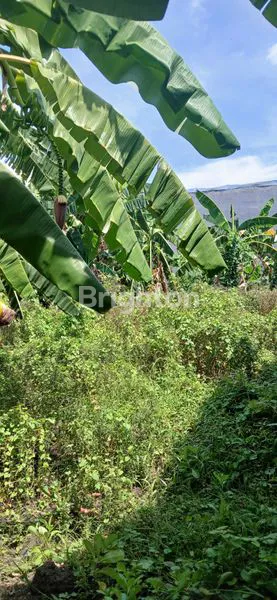 image DIJUAL TANAH SIAP BANGUN HARGA NEGO (2)