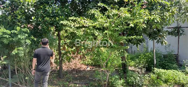 image DIJUAL TANAH SIAP BANGUN HARGA NEGO (5)