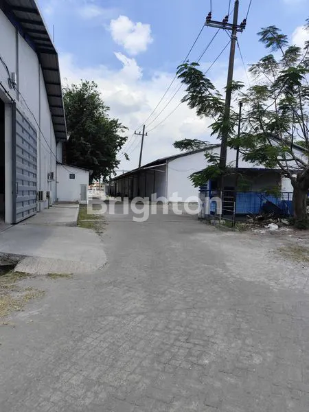 image  GUDANG RAYA DRIYOREJO (1)