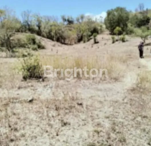 image TANAH SHM 2500M² DEKAT PANTAI LOVINA, INVESTASI EMAS! (3)