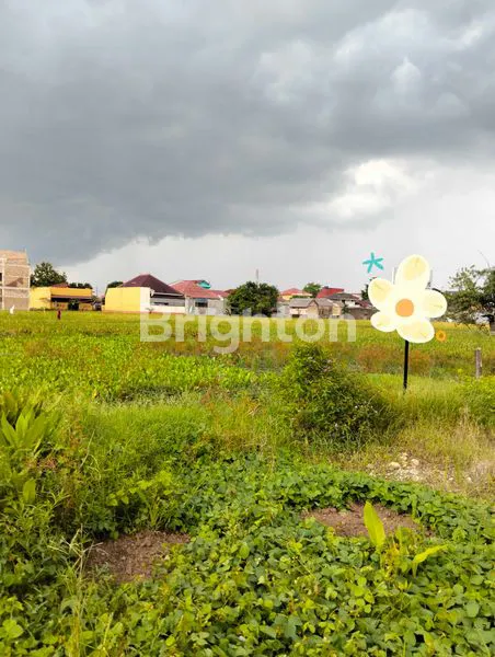 image TANAH STRATEGIS DEKAT USU – HARGA DI BAWAH PASAR! (2)