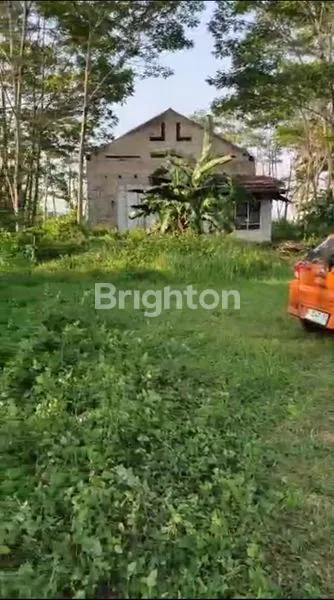 image DIJUAL TANAH BONUS BANGUNAN 2 LANTAI DI JALAN PURWODADI - BLORA.  BANGUNAN ADA SARANG BURUNG WALETNYA. SANGAT DEKAT DENGAN PUSAT KOTA PURWODADI (2)