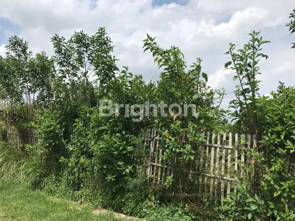 image TANAH MURAH DEKAT KAMPUS UNIVERSITAS MUHAMMADIYAH MALANG (5)