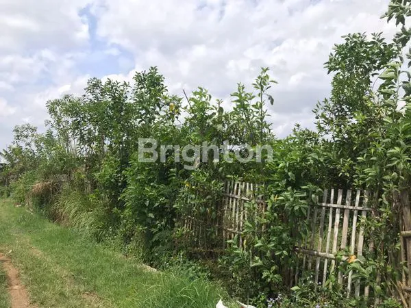 image TANAH MURAH DEKAT KAMPUS UNIVERSITAS MUHAMMADIYAH MALANG (6)