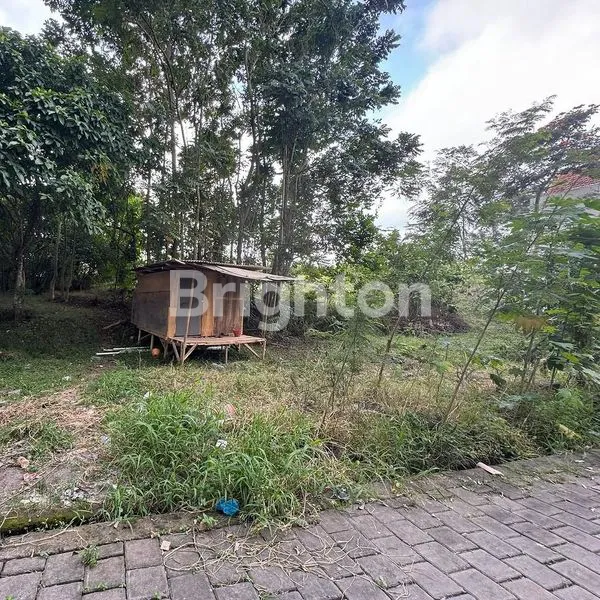 image LAHAN KECIL DI KAWASAN VILLA PERERENAN, CANGGU - BALI (3)