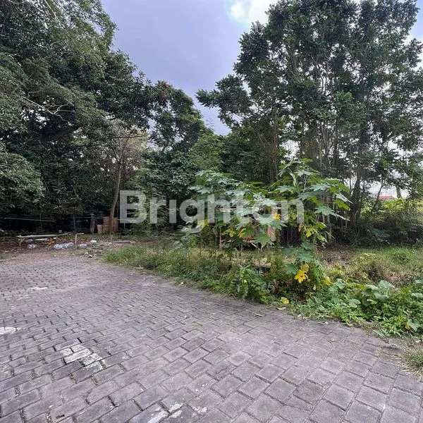 image LAHAN KECIL DI KAWASAN VILLA PERERENAN, CANGGU - BALI (2)