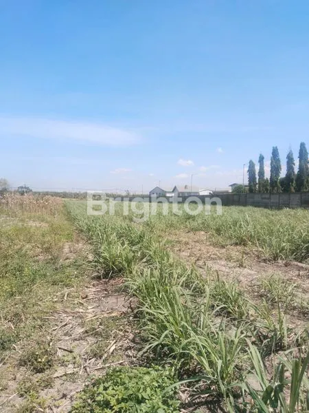 image DI JUAL TANAH MOJOKERTO (3)