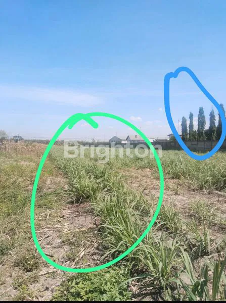 image DI JUAL TANAH MOJOKERTO (2)