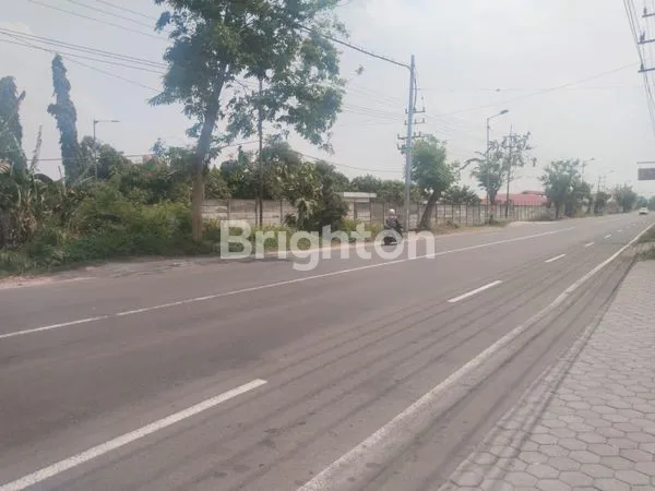 image DI JUAL TANAH MOJOKERTO (4)