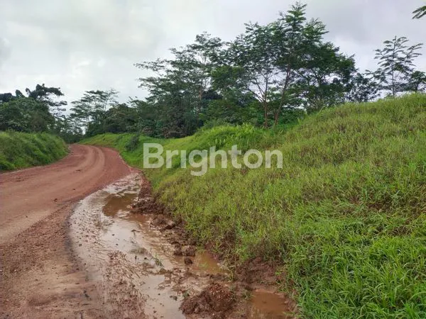 image DIJUAL TANAH KEBUN MURAH  DI JALAN SUNGAI SIRING KOTA SAMARINDA  (1)