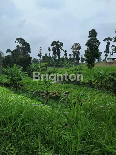 image TANAH KOSONG PAMEUNGPEUK KAB BANDUNG (1)