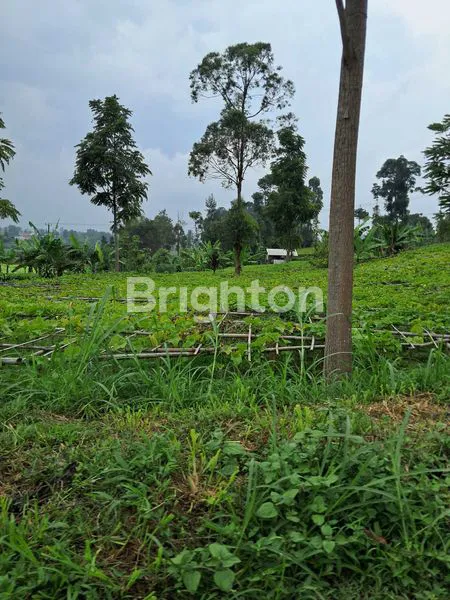 image TANAH KOSONG PAMEUNGPEUK KAB BANDUNG (2)