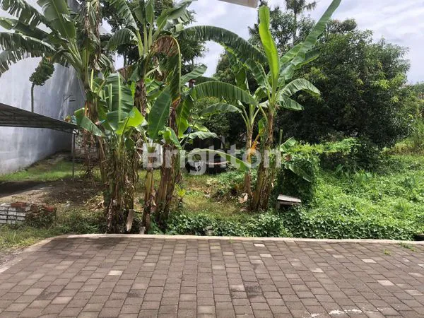 image LAHAN MURAH DI KAWASAN VILLA TANDEG BERAWA, CANGGU - BALI (4)
