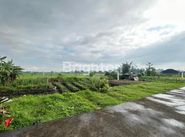 TANAH KAVLING SHM DI KEDIRI TABANAN – LOKASI STRATEGIS DEKAT FASILITAS & WISATA