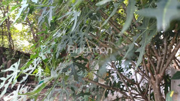 image TANAH HOOK TENGAH KOTA DENPASAR BARAT (4)