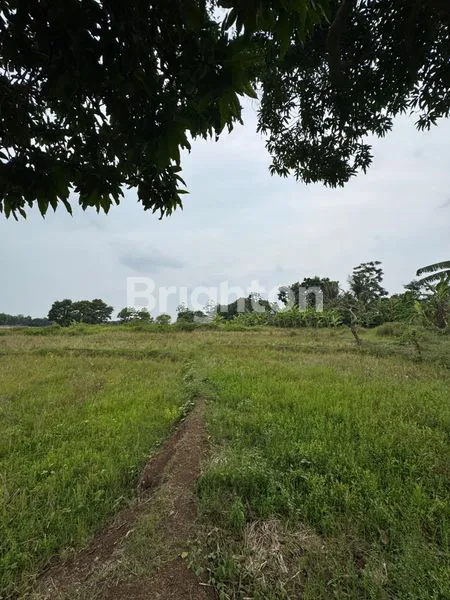 image MURAH BANGET TANAH LUAS 12 HA  BISA BANGUN PABRIK, IJIN INDUSTRI DEKAT PINTU TOL DI SUBANG,  JAWA BARAT (KODE RMRG 2852) (1)