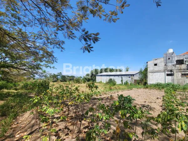 image TANAH INDUSTRI DI PANDAAN KABUPATEN PASURUAN JAWA TIMUR (4)