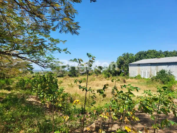 image TANAH INDUSTRI DI PANDAAN KABUPATEN PASURUAN JAWA TIMUR (5)