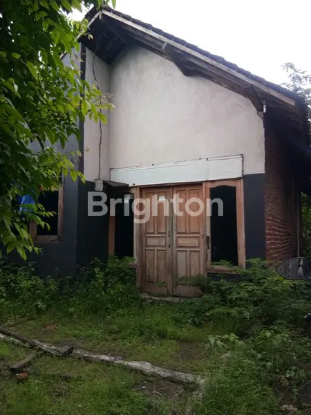 image RUMAH KAMPUNG SIDOARJO (1)