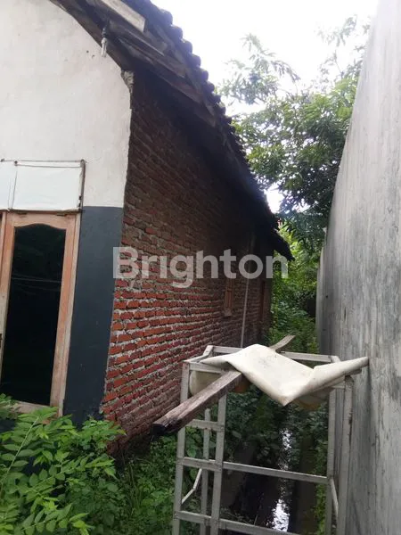 image RUMAH KAMPUNG SIDOARJO (2)