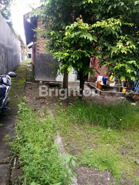 image RUMAH KAMPUNG SIDOARJO (3)