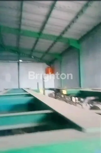 image GUDANG 480 LIK KALIGAWE SMG (6)