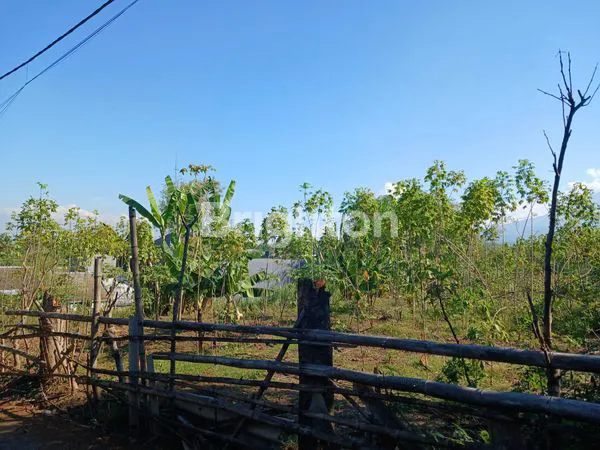 image TANAH SIAP BANGUN (2)