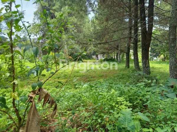 image JUAL TANAH DI CILAME (1)